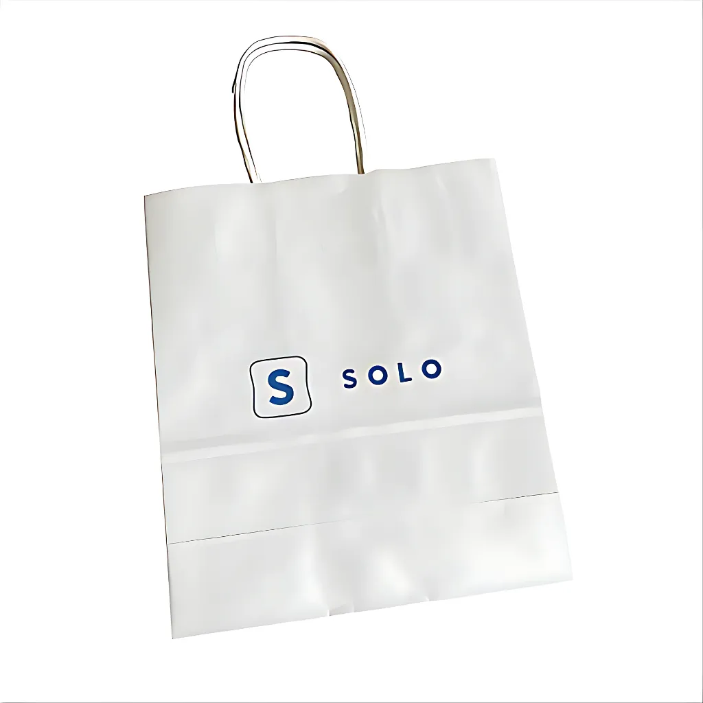 [8024] Papiertasche.webp